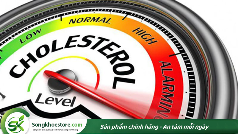 an-dam-nhieu-lam-tang-cholesterol