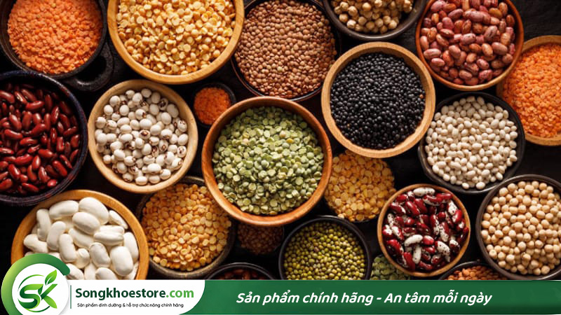 cac-loai-dau-co-nhieu-protein