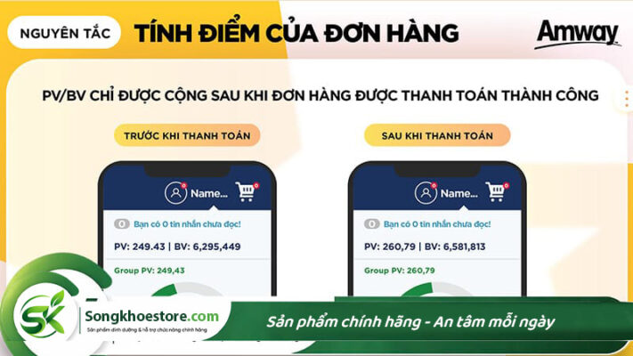 cach-tinh-diem-pv-bv-trong-amway