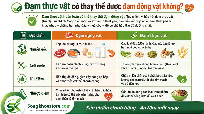 dam-thuc-vat-co-thay-the-duoc-dam-dong-vat-khong