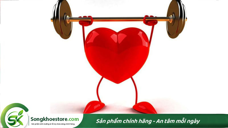 dam-thuc-vat-tot-cho-tim-mach