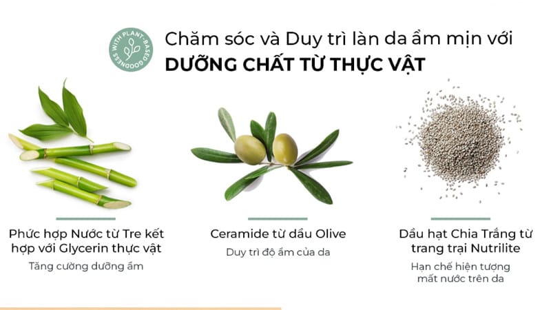 duong-chat-thuc-vat-gh