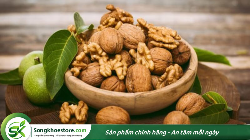 hat-oc-cho-chua-nhieu-protein