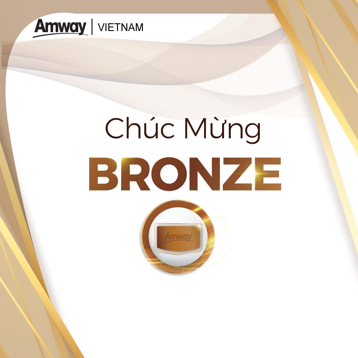 huy-hieu-bronze-amway