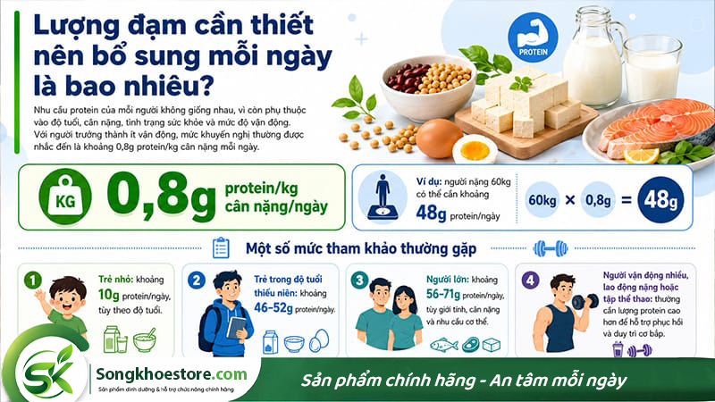 moi-ngay-can-bo-sung-bao-nhieu-dam-protein-la-du
