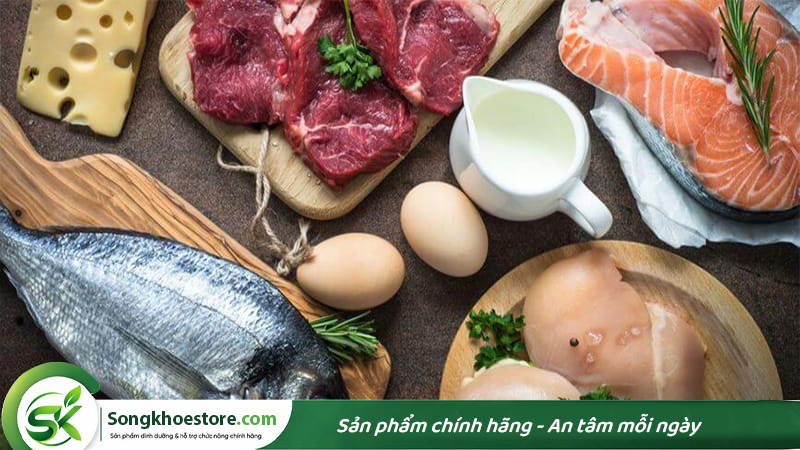 protein-dong-vat