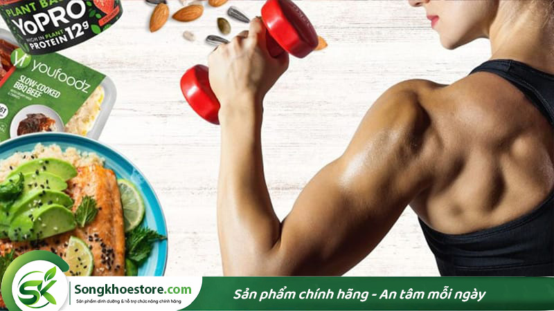 protein-giup-tang-co-bap