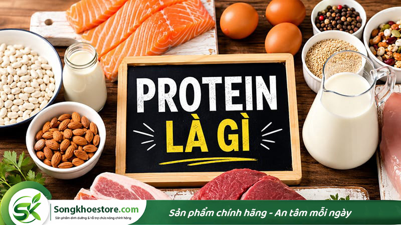 protein-la-gi