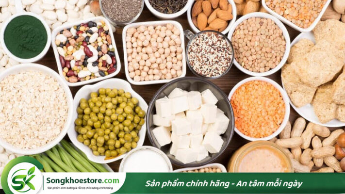 protein-thuc-vat-la-gi