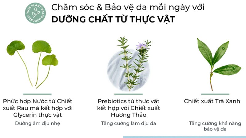 thanh-phan-chai-lan-nach-amway
