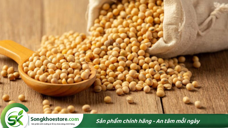 thuc-pham-chua-nhieu-protein-thuc-vat