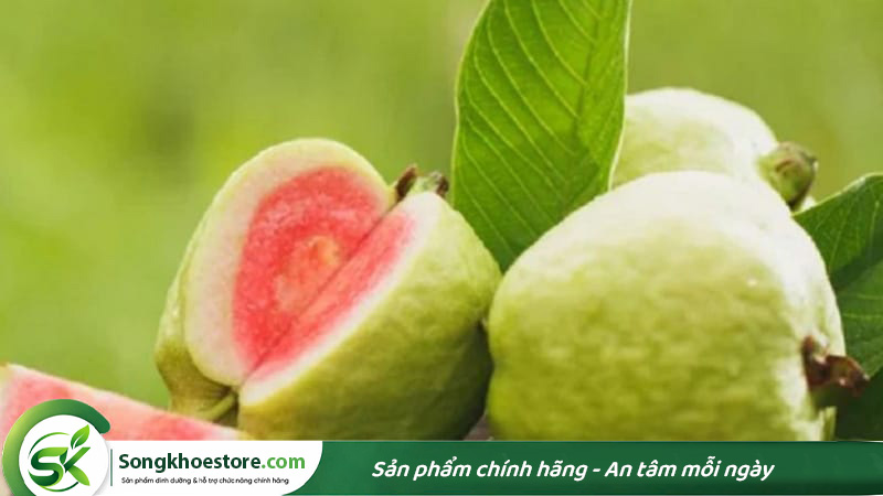 trai-oi-chua-nhieu-protein