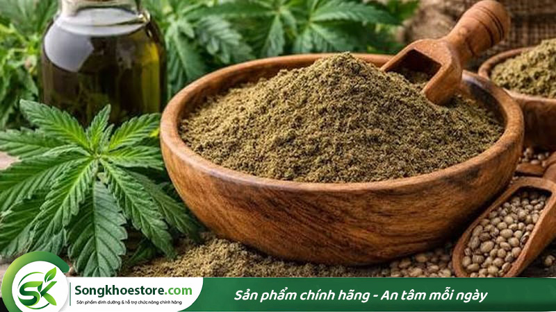 Hemp-Protein-cay-gai-dau