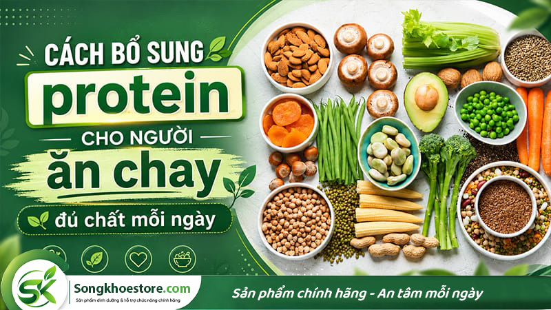 cach-bo-sung-protein-cho-nguoi-an-chay