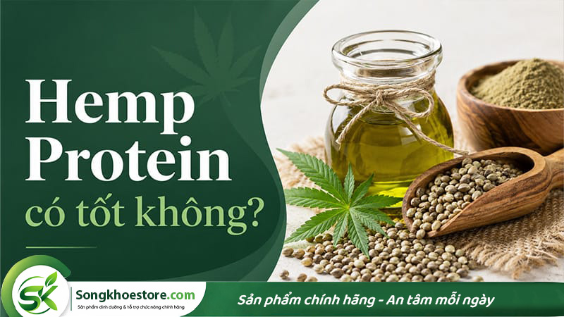 hemp-protein-la-gi-co-tot-khong