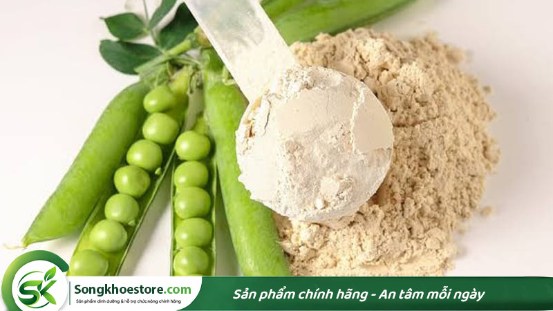 pea-protein-tu-dau-ha-lan