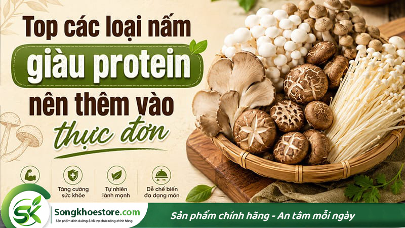 top-cac-loai-nam-giau-protein