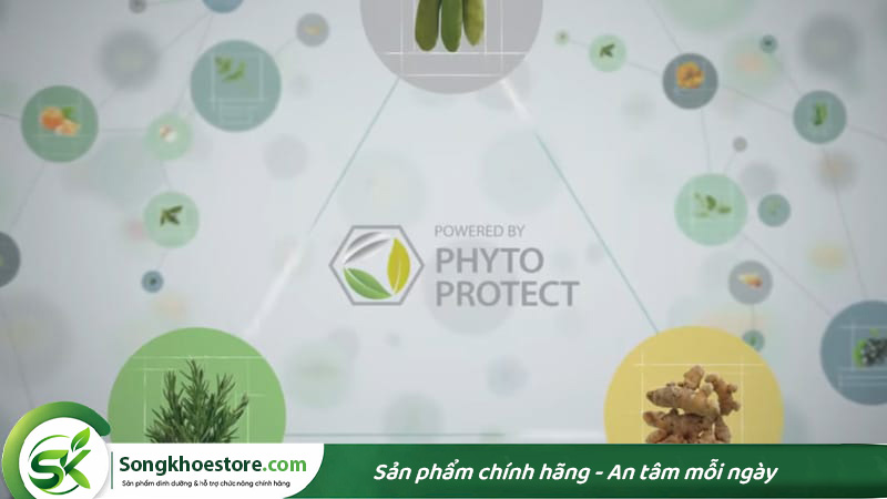 PhytoProtect-co-tac-dung-gi