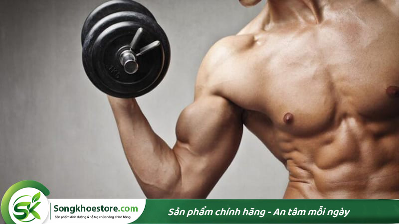 axit-amin-giup-xay-dung-co-bap