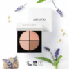bang-phan-mat-artistry-go-vibrant-eyeshadow-quad-2