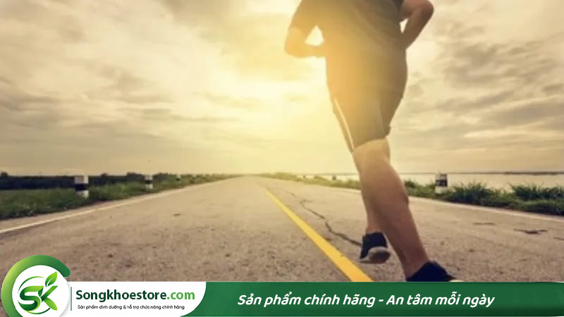 bot-protein-thuc-vat-bo-sung-nang-luong
