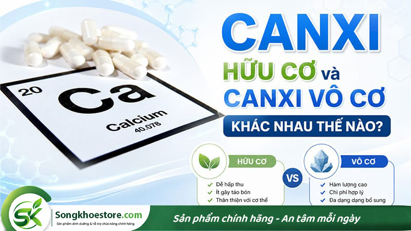 canxi-vo-co-va-huu-co-khac-nhau-nhu-the-nao