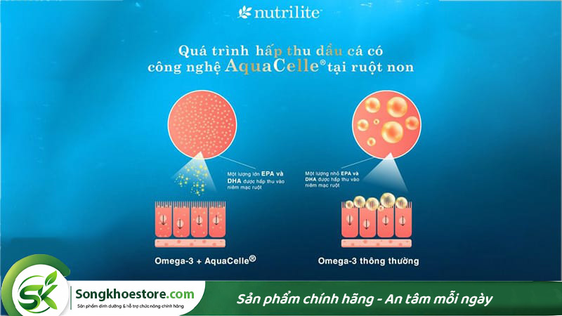 cong-nghe-AquaCelle-cua-omega-3-co-tac-dung-gi