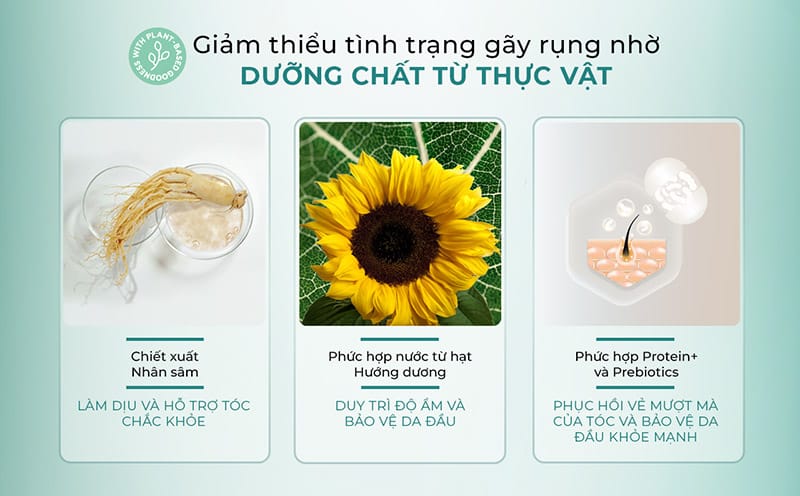 dau-goi-giam-gay-rung-toc-satinique-anti-hair-fall-scalp-hair-shampoo-6