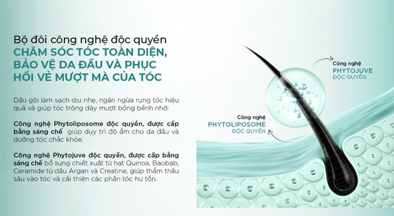 dau-goi-giam-gay-rung-toc-satinique-anti-hair-fall-scalp-hair-shampoo-7