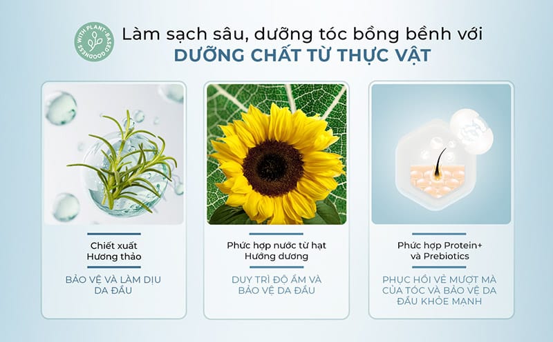 dau-goi-lam-sach-sau-va-kiem-soat-dau-thua-satinique-purifying-scalp-hair-shampoo-6