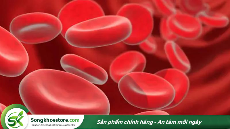 vien-sat-cua-amway-ho-tro-tao-hong-cau