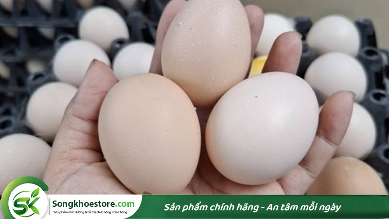 protein-trong-trung-ga-co-9-acid-amin