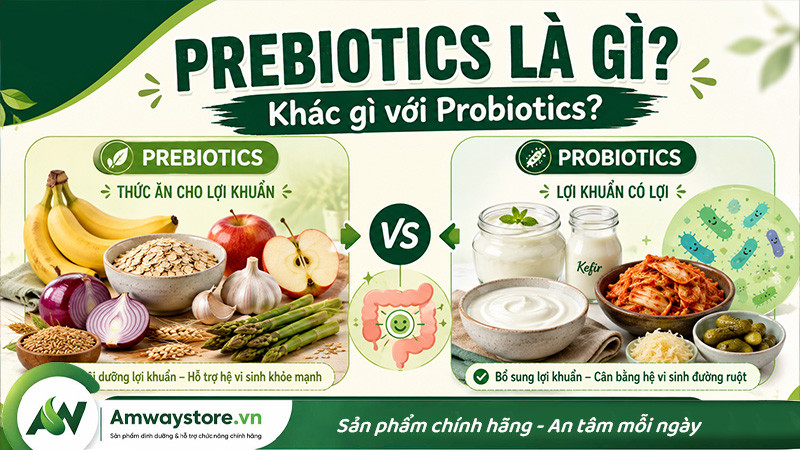 prebiostic-khac-gi-probiotic