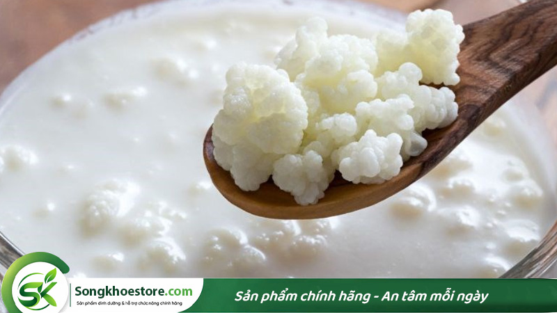 sua-chua-Kefir